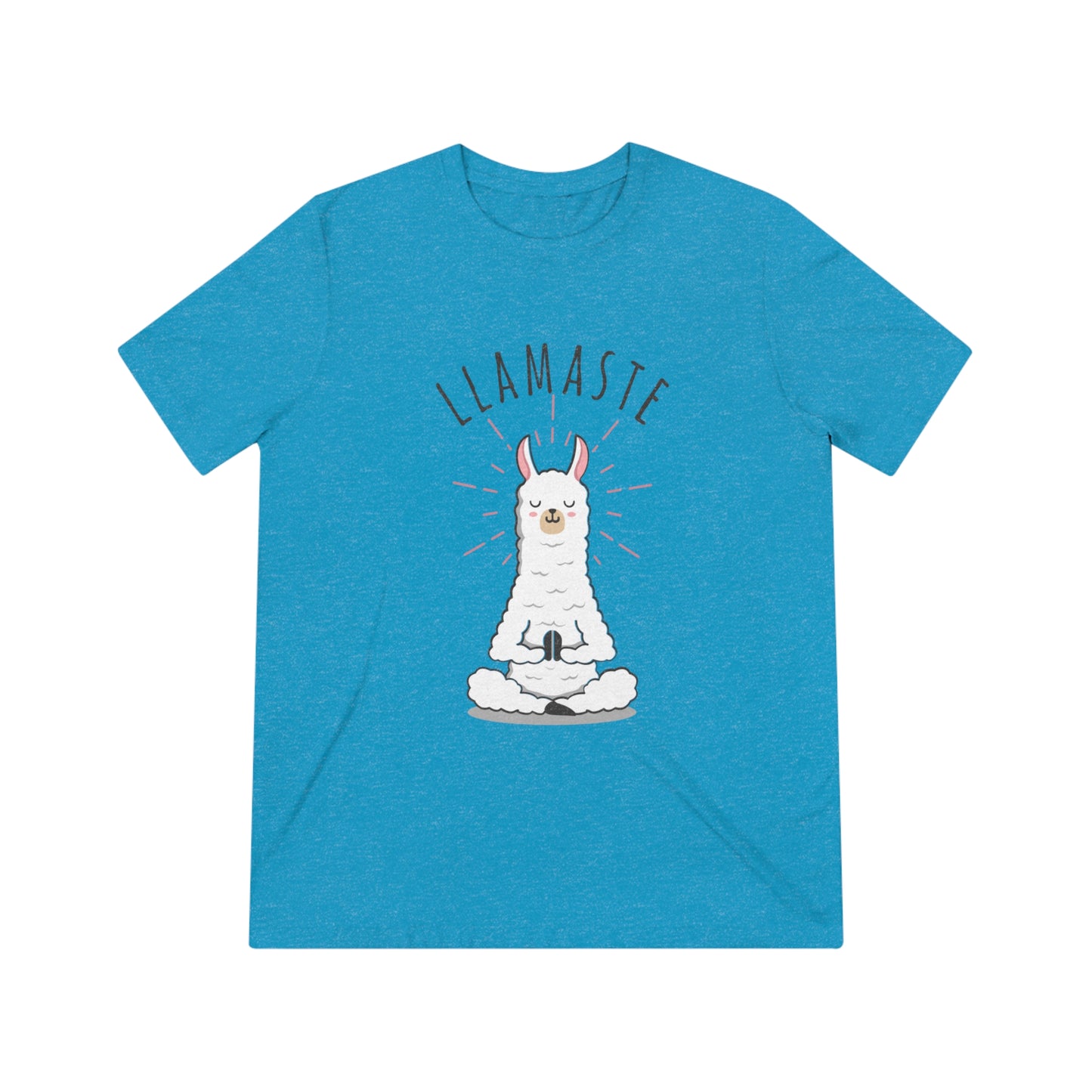 Llamaste Unisex Triblend Tee