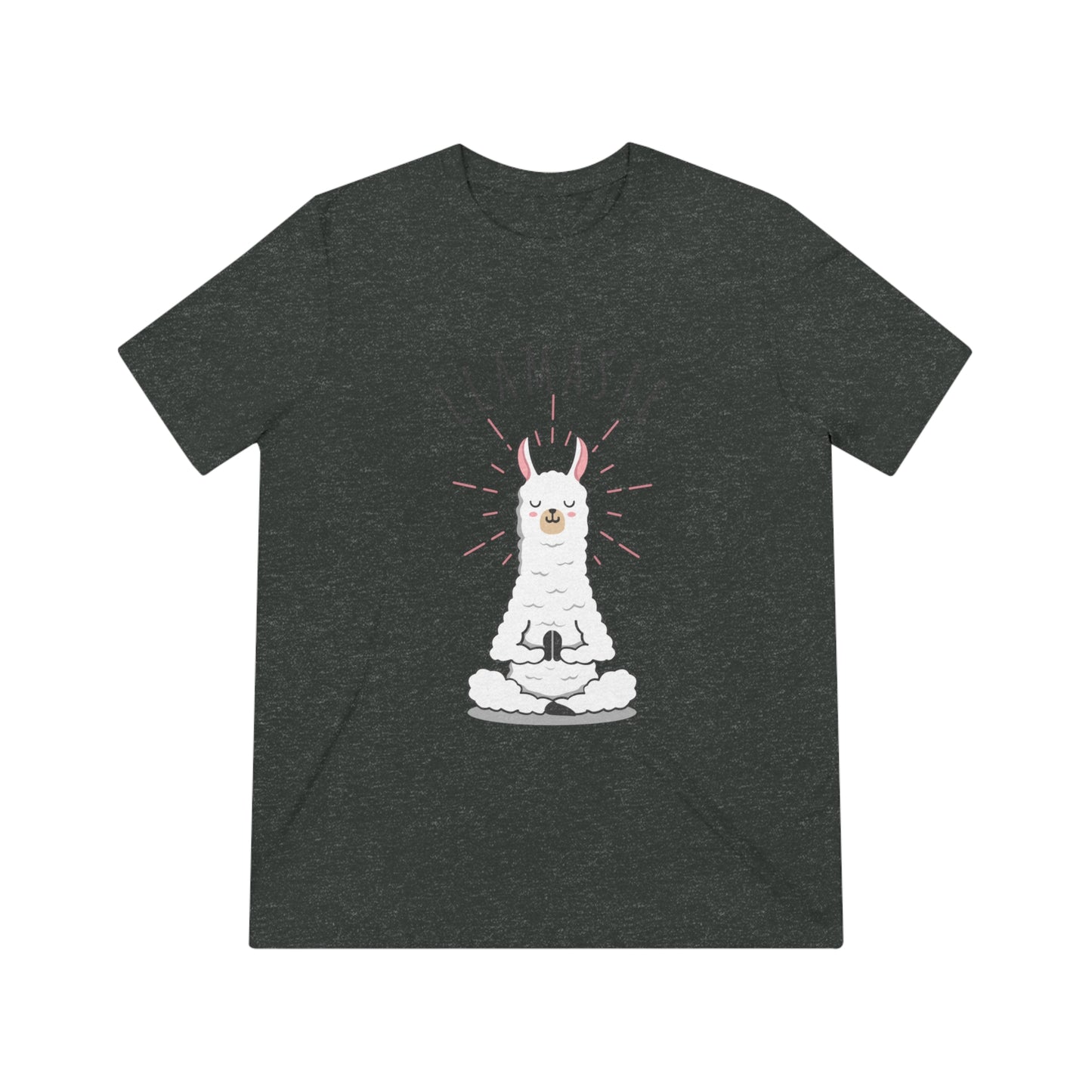 Llamaste Unisex Triblend Tee