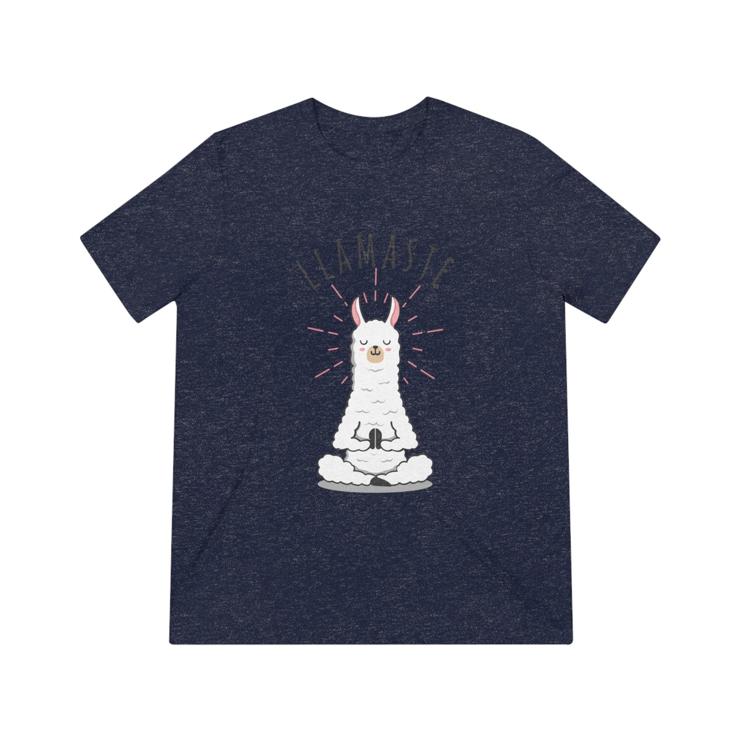 Llamaste Unisex Triblend Tee