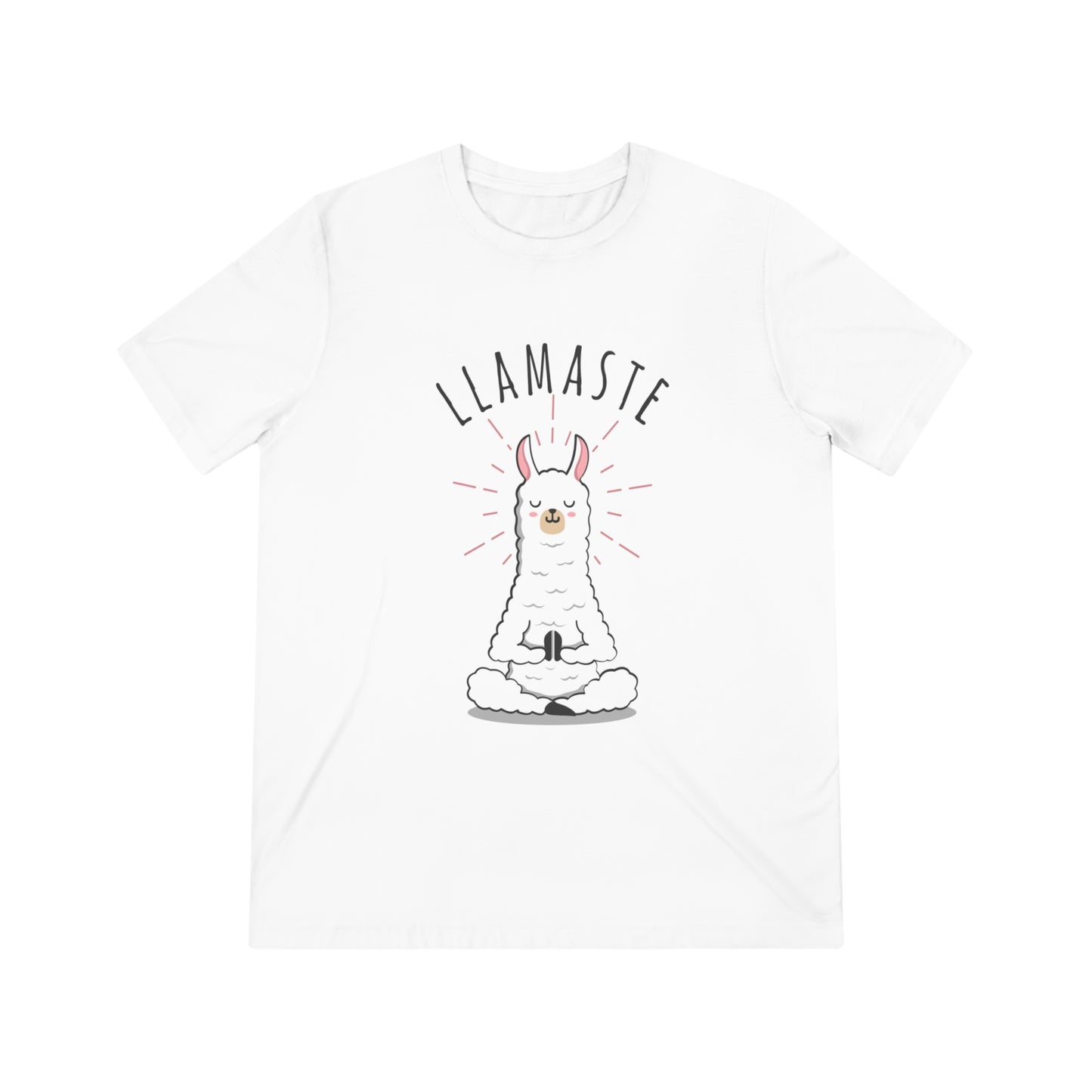 Llamaste Unisex Triblend Tee