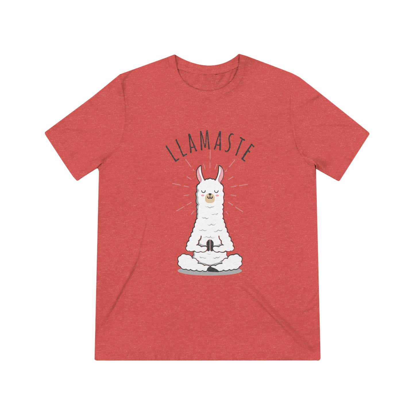 Llamaste Unisex Triblend Tee