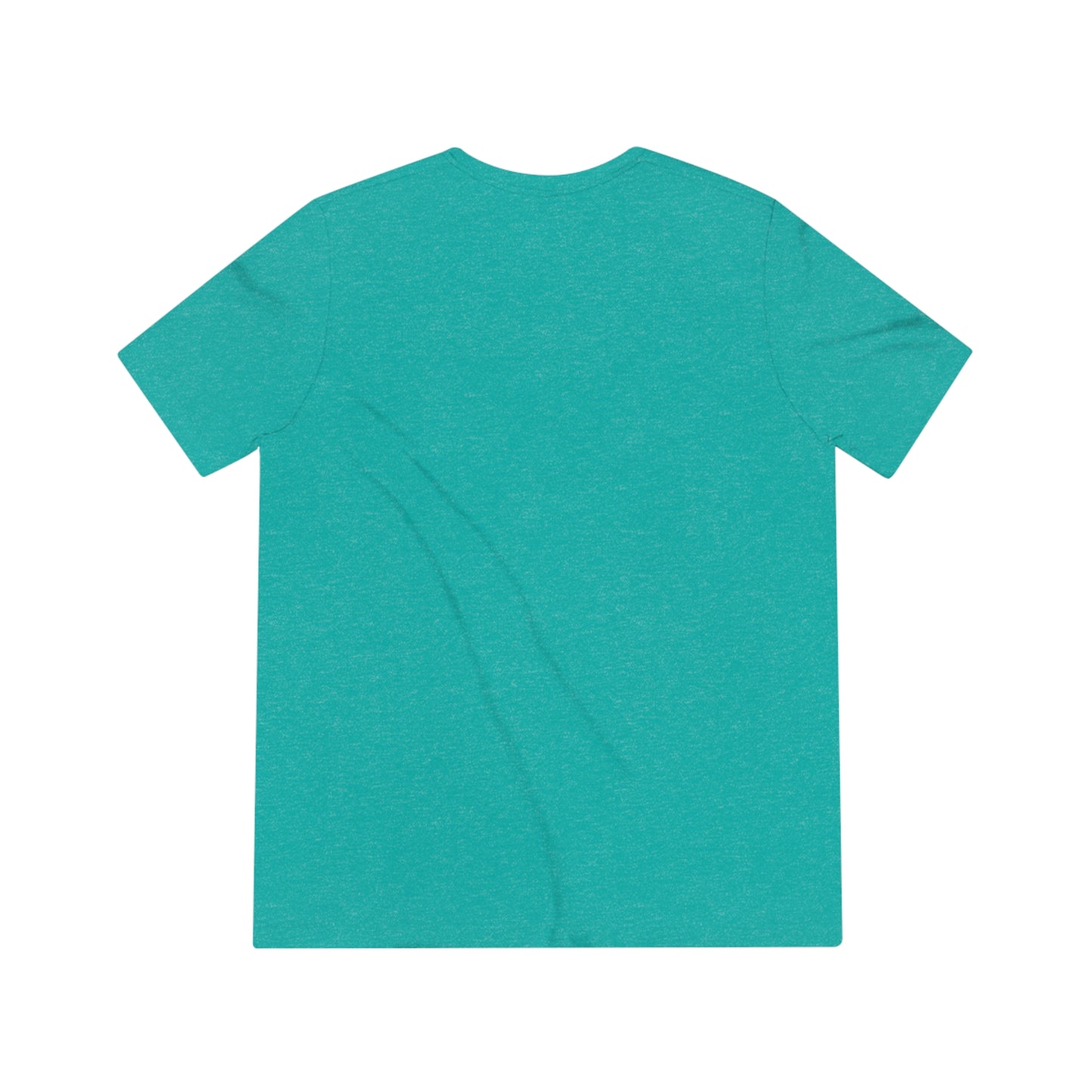 Llamaste Unisex Triblend Tee