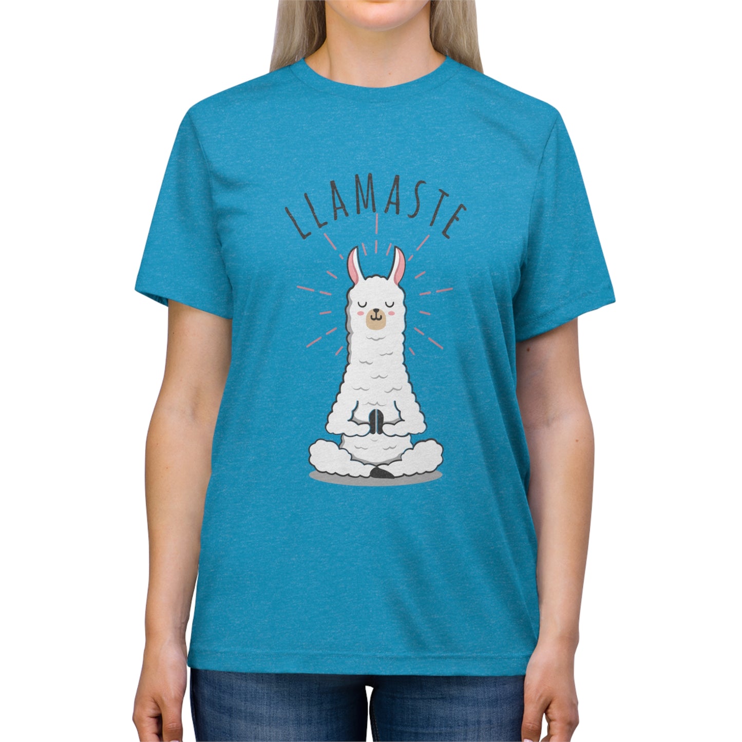 Llamaste Unisex Triblend Tee