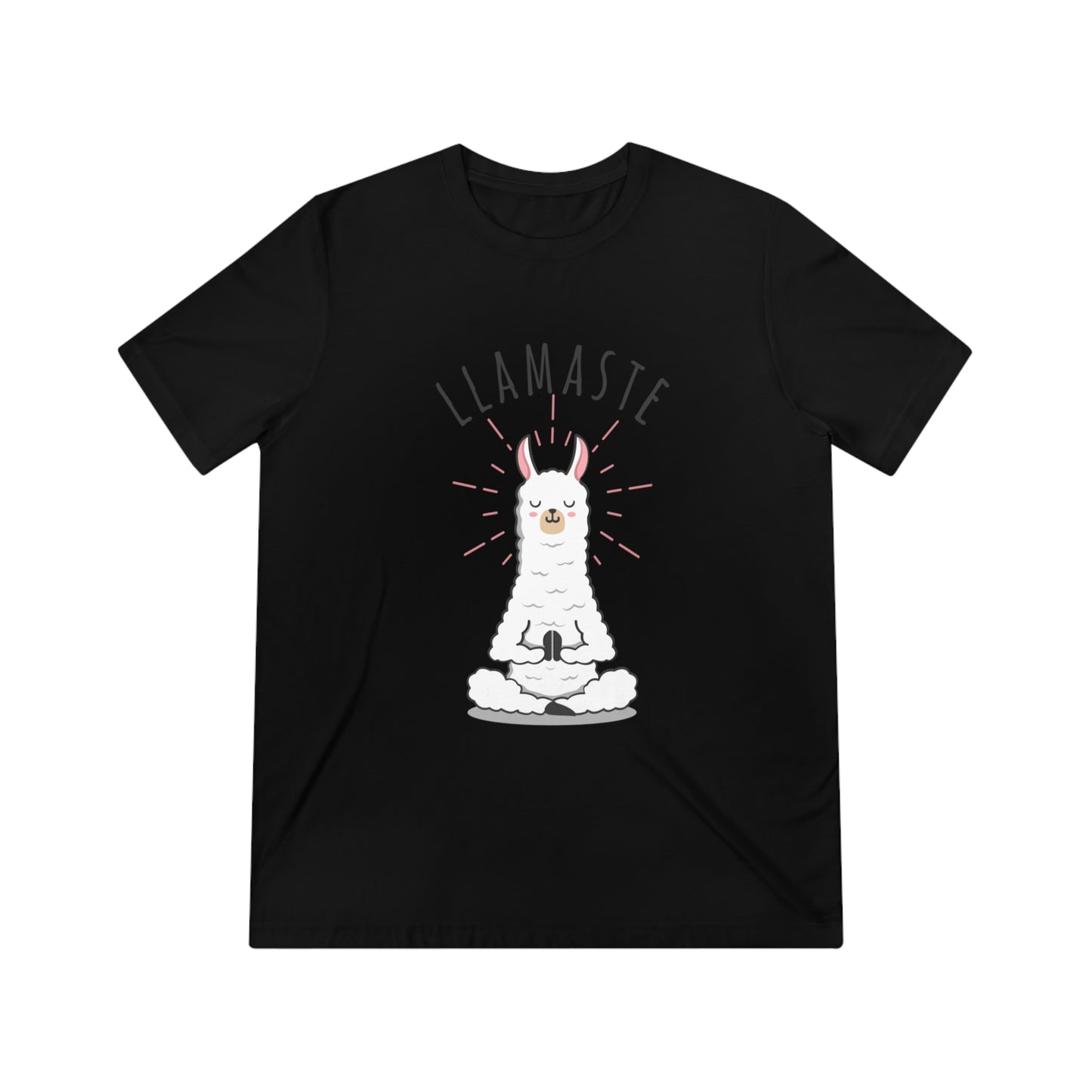 Llamaste Unisex Triblend Tee