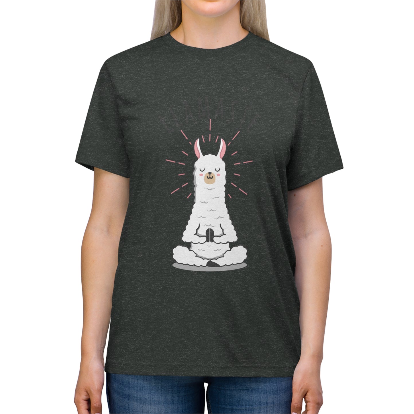 Llamaste Unisex Triblend Tee