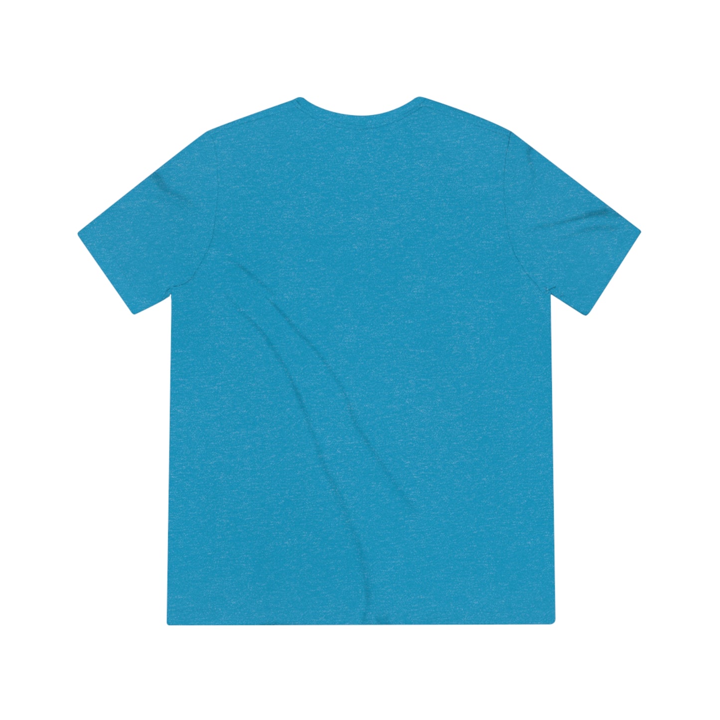 Llamaste Unisex Triblend Tee