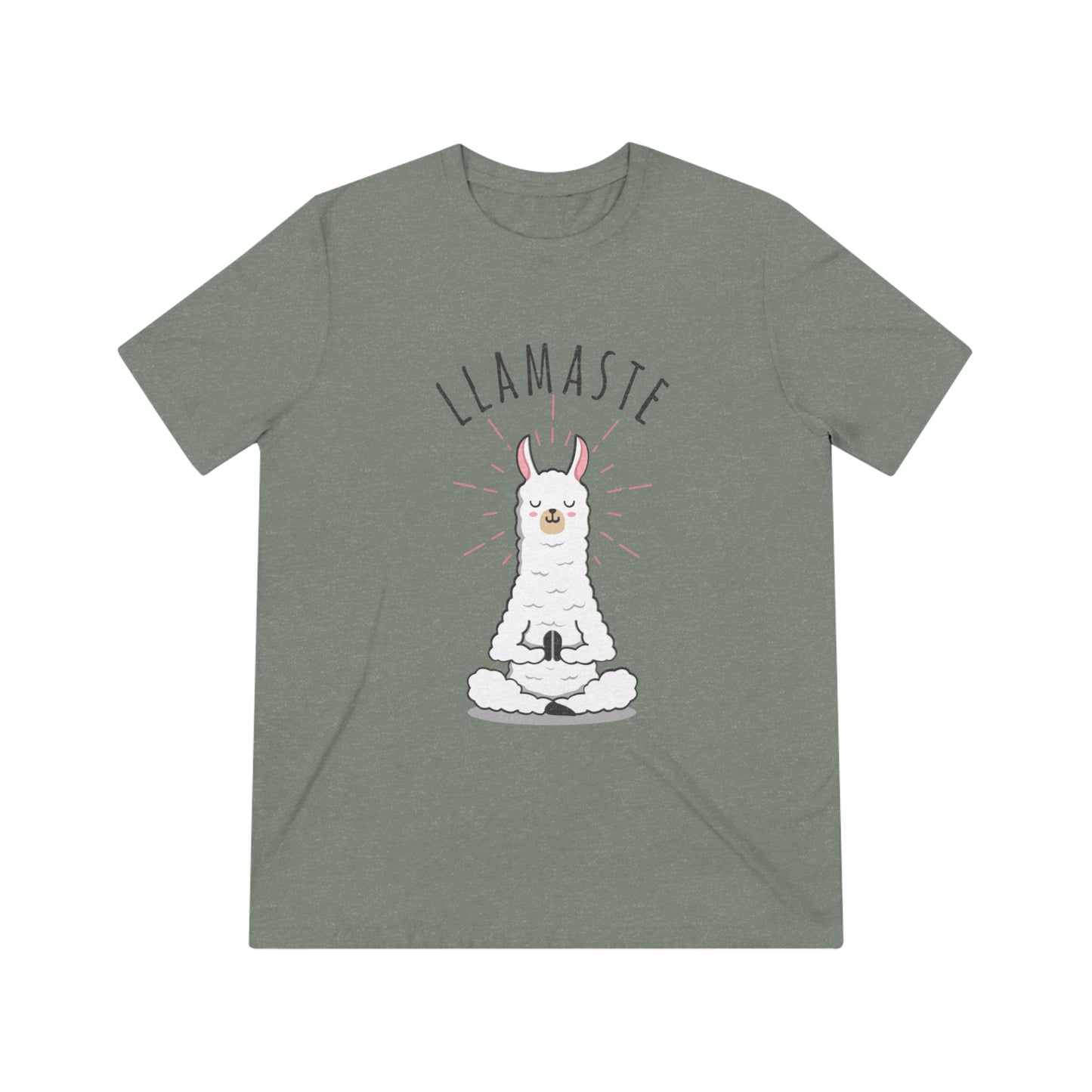 Llamaste Unisex Triblend Tee