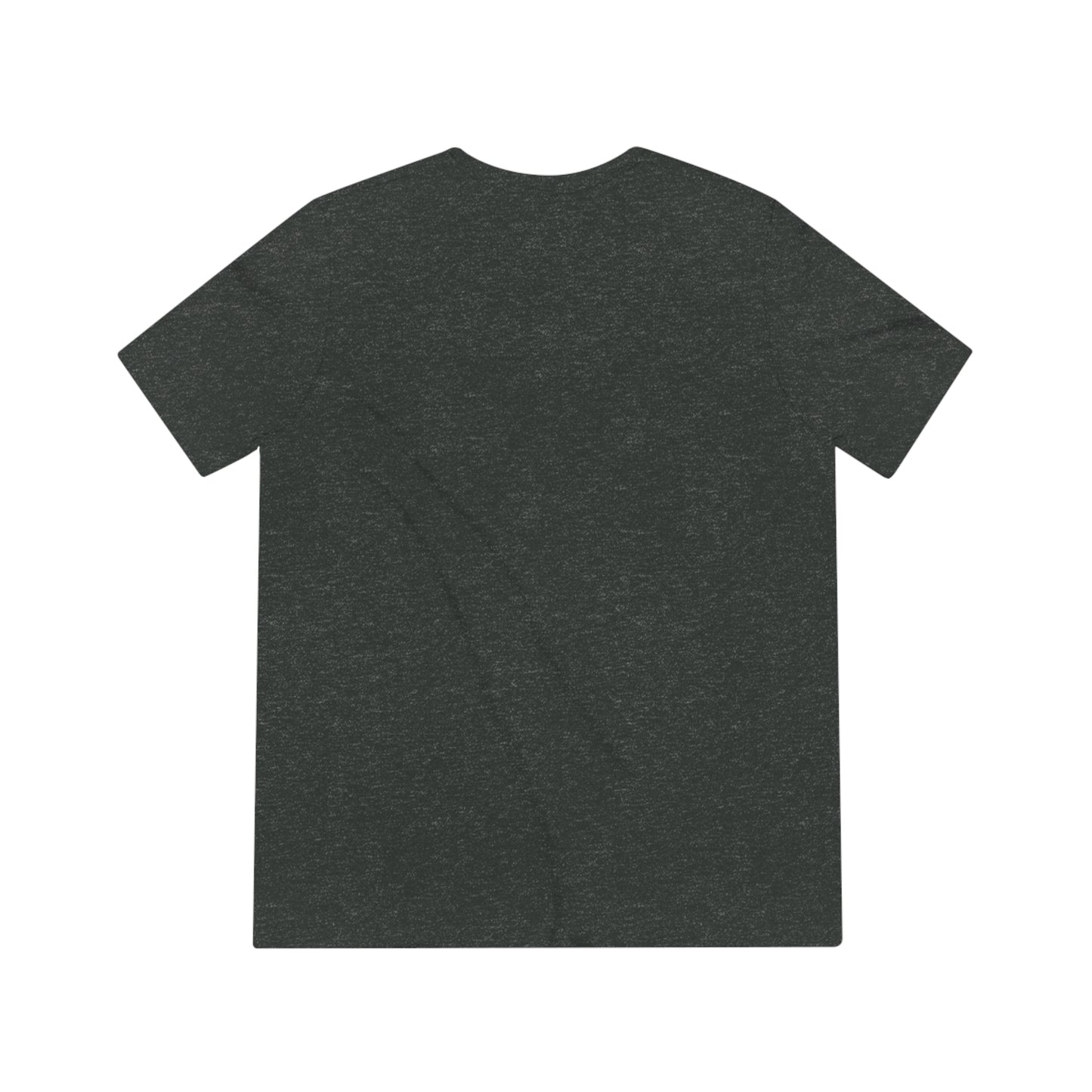Llamaste Unisex Triblend Tee