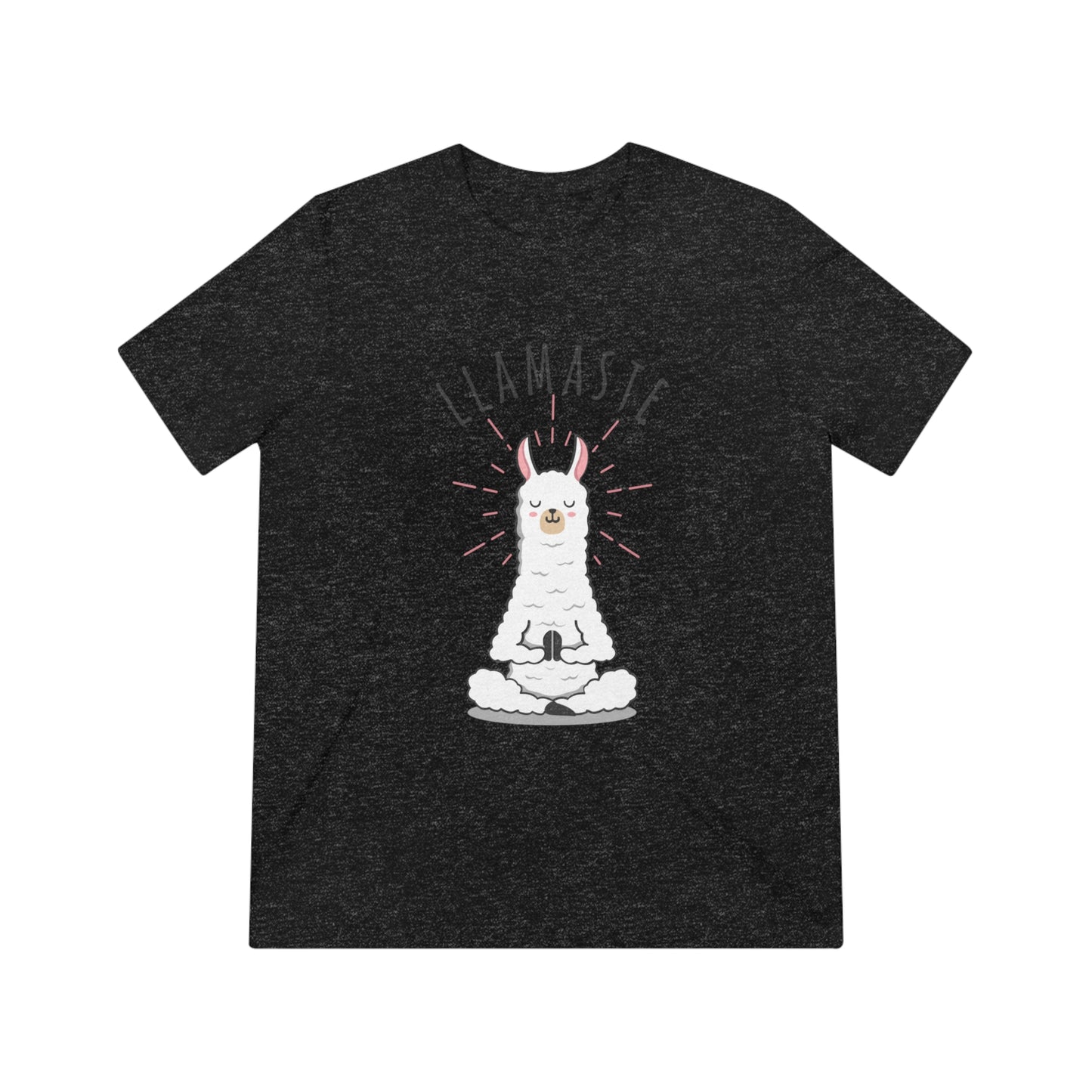 Llamaste Unisex Triblend Tee
