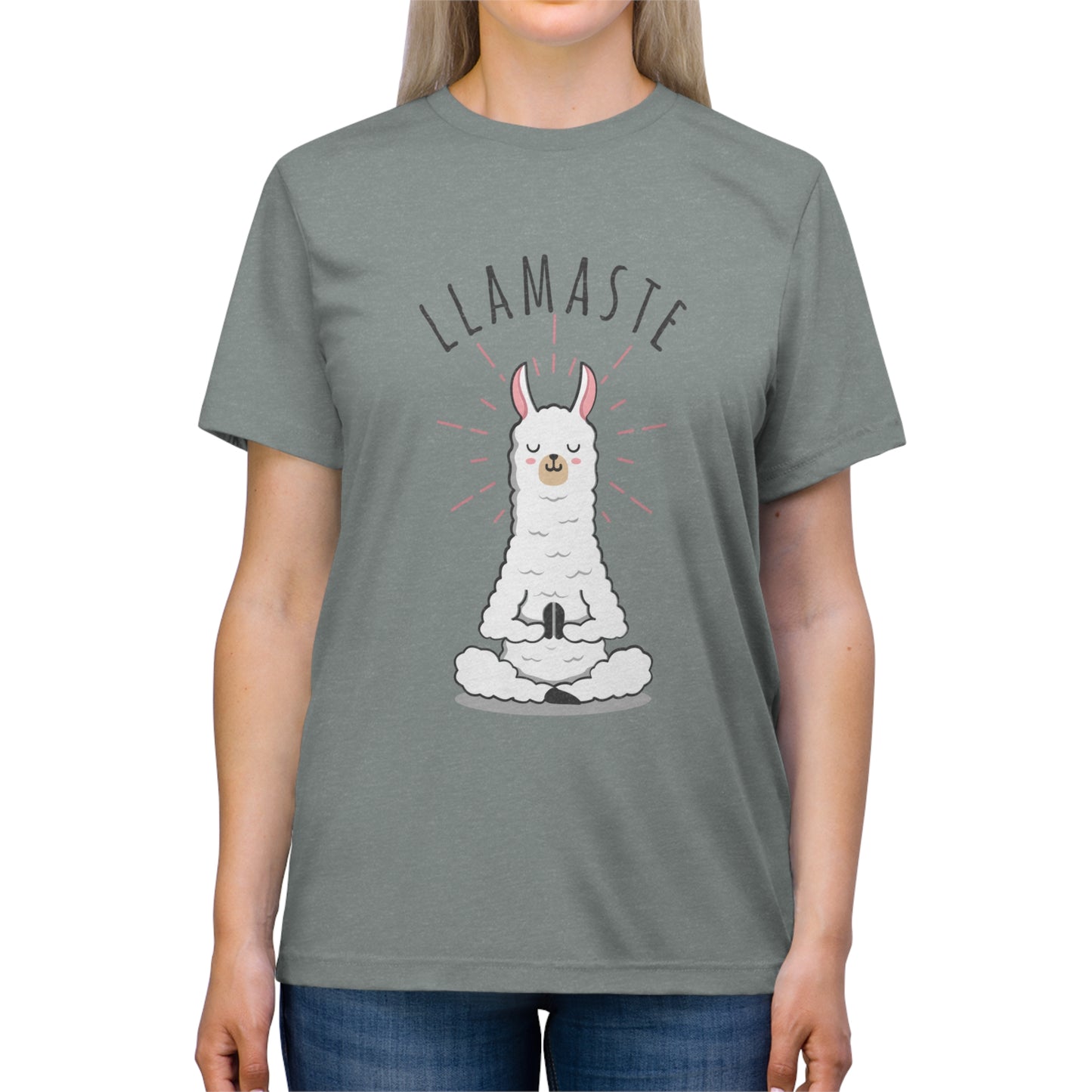 Llamaste Unisex Triblend Tee