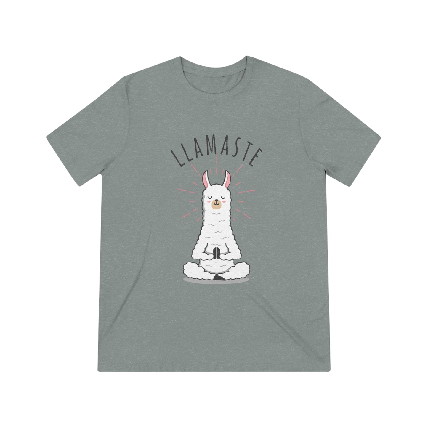 Llamaste Unisex Triblend Tee