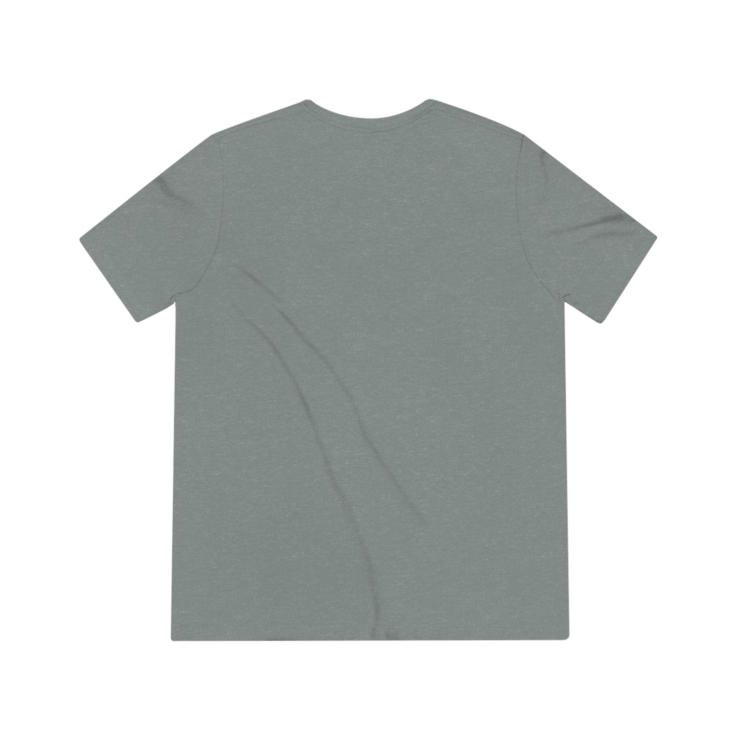 Llamaste Unisex Triblend Tee
