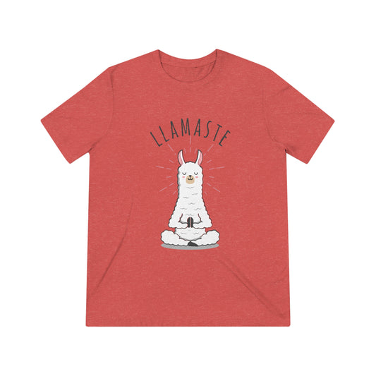 Llamaste Unisex Triblend Tee